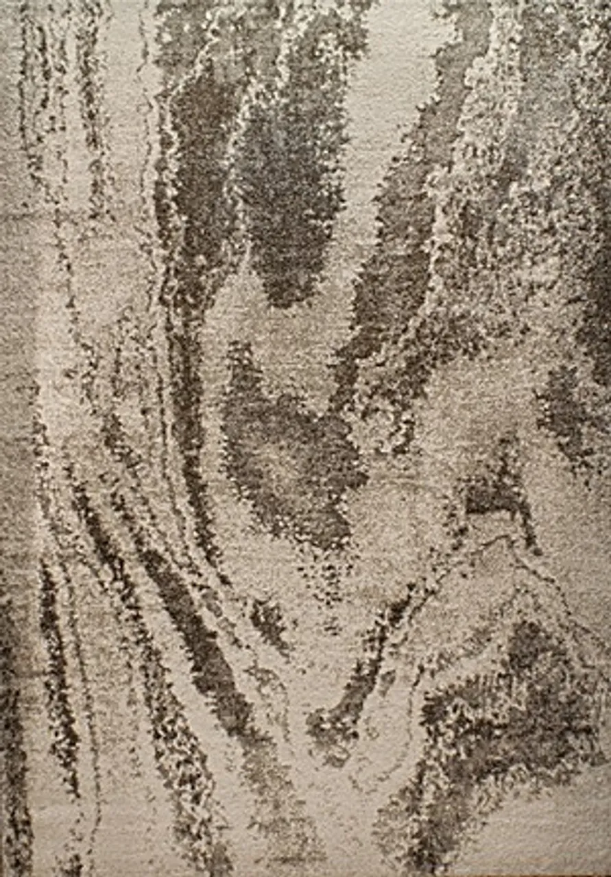 Casa_elegance Area Rugs -12554-070